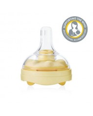 Assiette en bois de bambou avec ventouse, Little Chums Chien