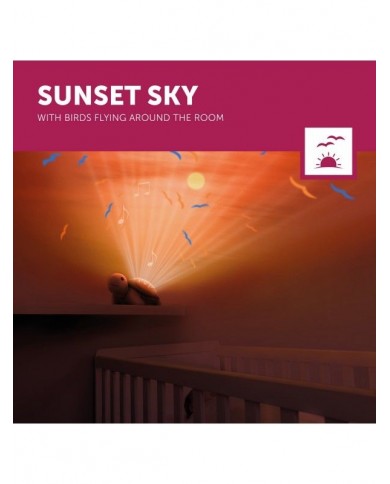 Projecteur de lumière Tim la Tortue