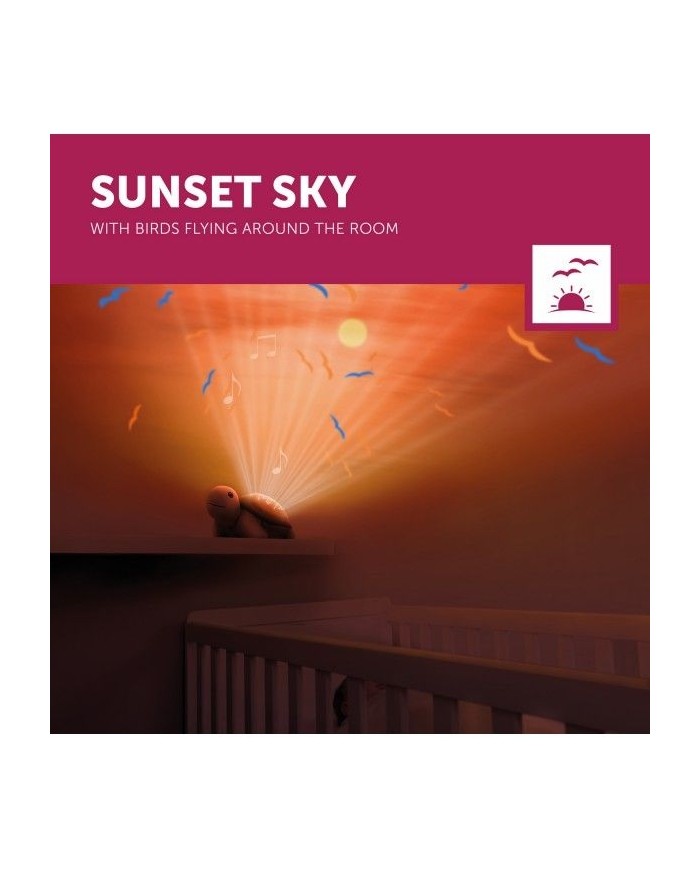 Projecteur de lumière Tim la Tortue