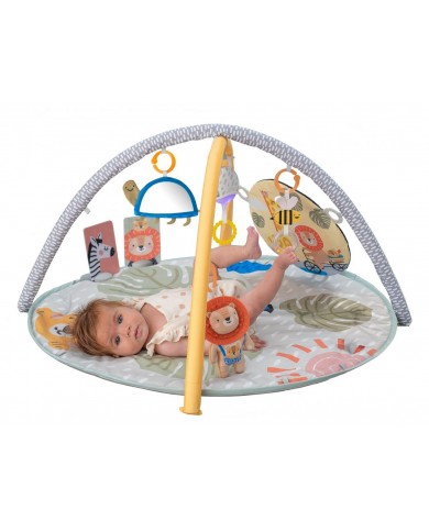 Savannah Adventures 360° Activity Gym