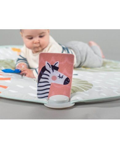 Savannah Adventures 360° Activity Gym