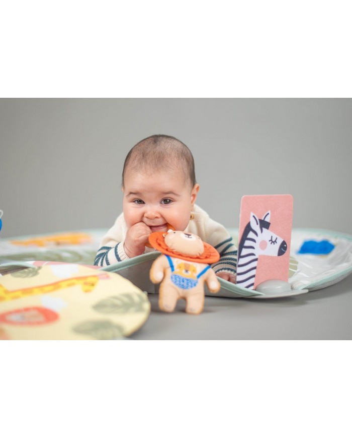 Savannah Adventures 360° Activity Gym