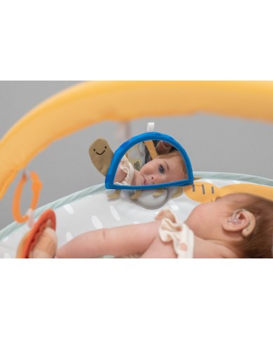 Savannah Adventures 360° Activity Gym