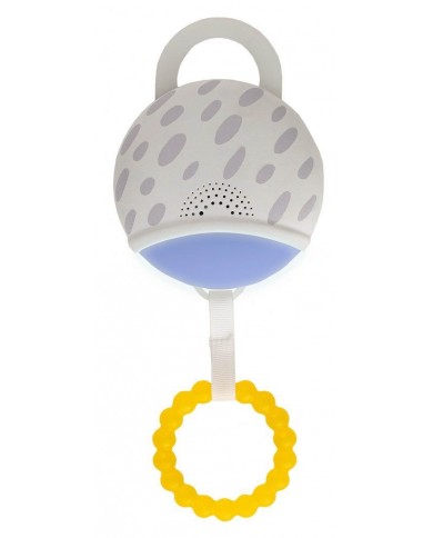 Savannah Adventures 360° Activity Gym