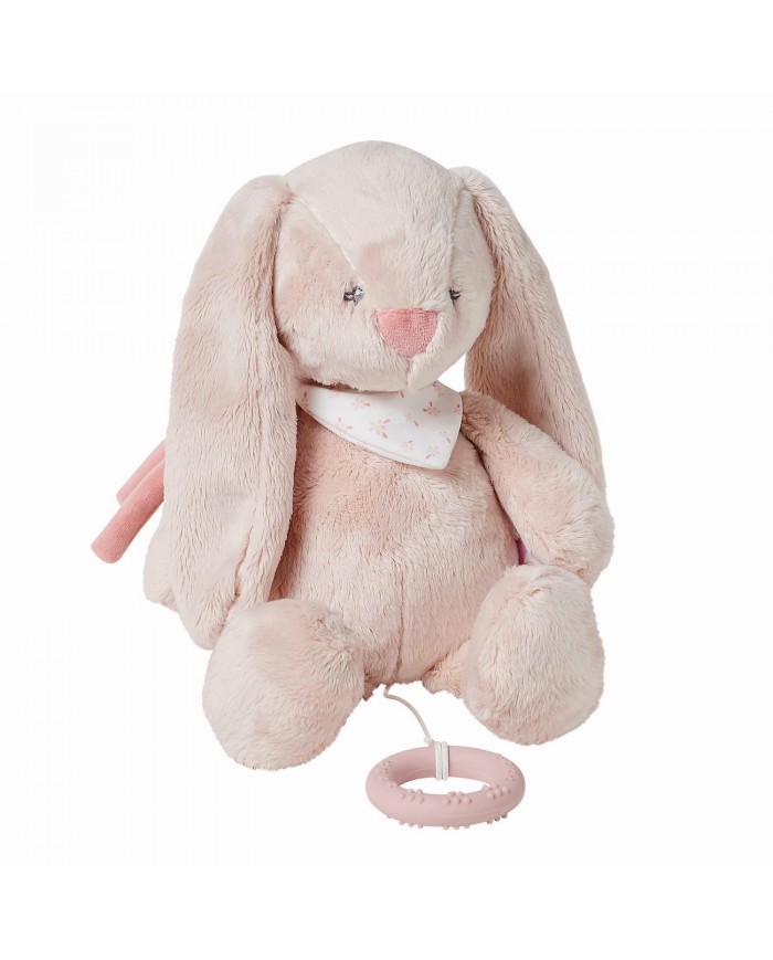 Musical lapin Pomme - Alice & Pomme