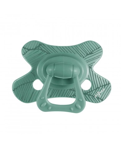 Sucette Natural +6M - Sage veins