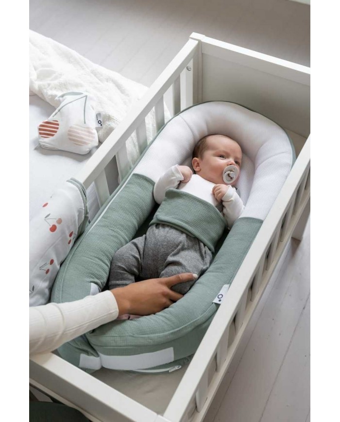 Cocoon Tetra Jersey Green