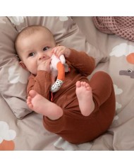 Hochet Elphee - powder