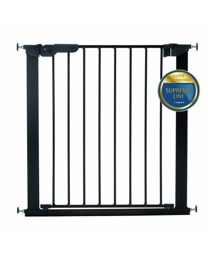 Barrière Asta métal noir + 2 allonges