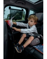 Pare-soleil à Ventouse Extensible x2