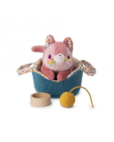 Jeanne le chat et son panier