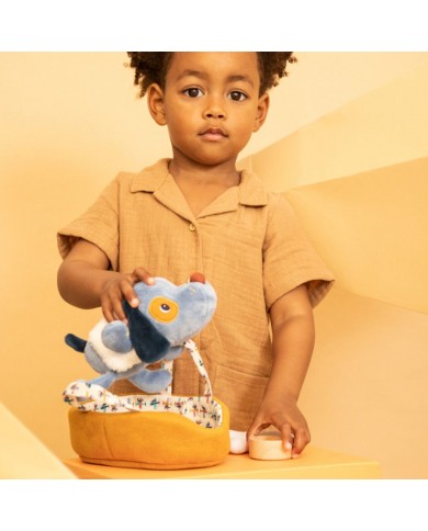 Jules le chien et son panier