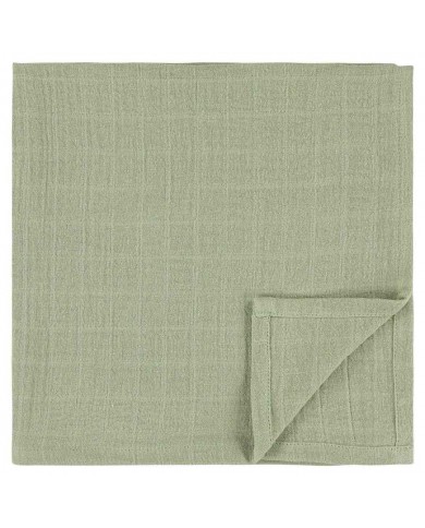 Lot de 3 tétras 55x55cm - Daring Dino