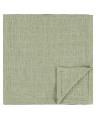 Lot de 3 tétras 55x55cm - Daring Dino