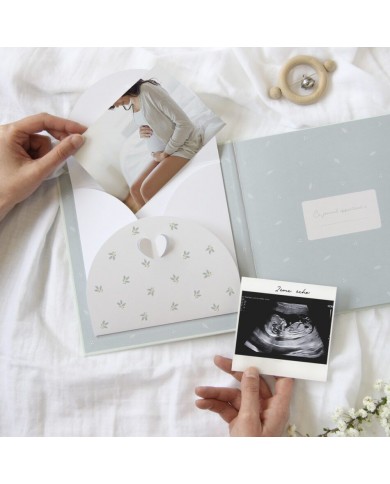 Journal de grossesse Journal de grossesse