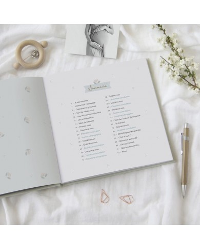 Journal de grossesse Journal de grossesse