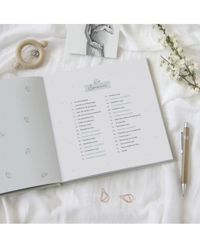 Journal de grossesse