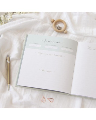 Journal de grossesse Journal de grossesse
