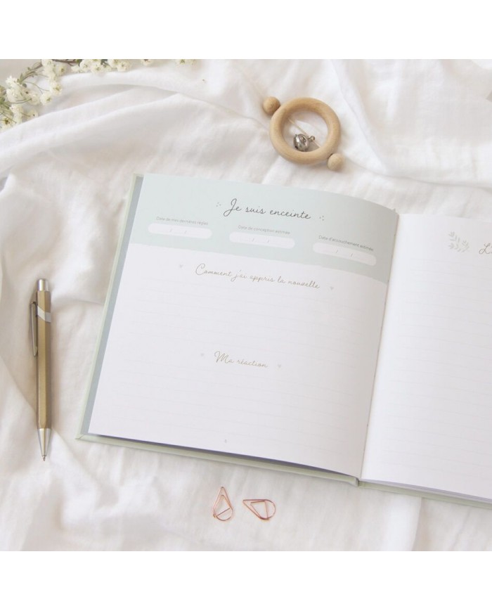 Journal de grossesse