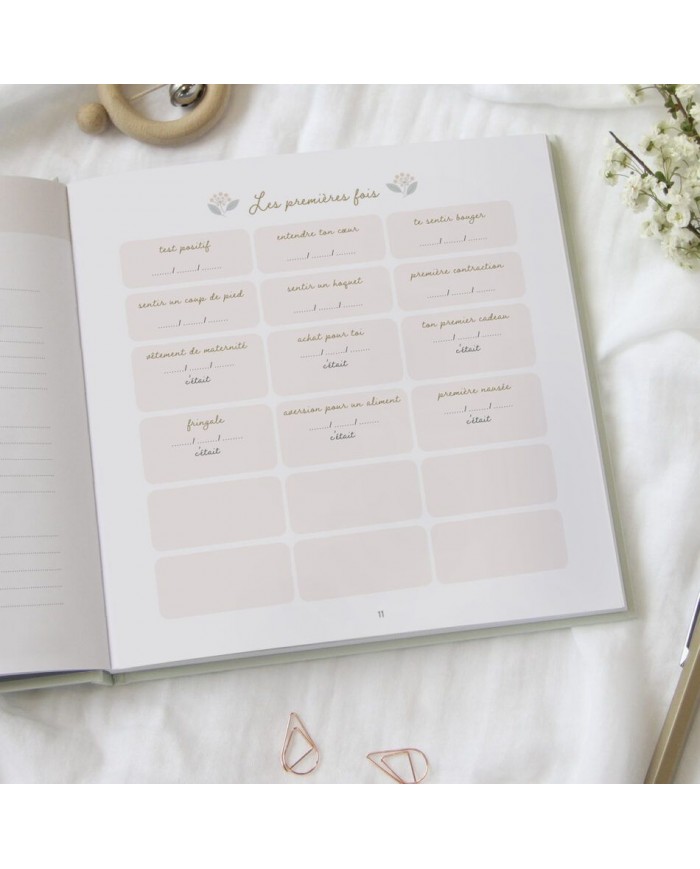 Journal de grossesse