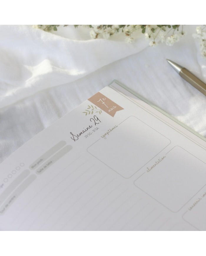 Journal de grossesse