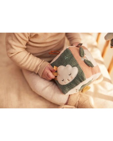 Cube d'activités - Lovely Birds