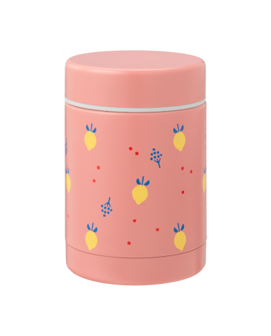 Thermos pour nourriture 300 ml Summer fruit