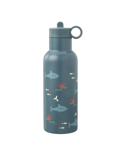 Gourde thermos 500 ml Shark Gourde thermos 500 ml Shark