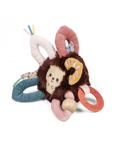 Anneaux sensoriels Léon le hérisson