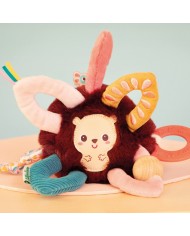 Anneaux sensoriels Léon le hérisson