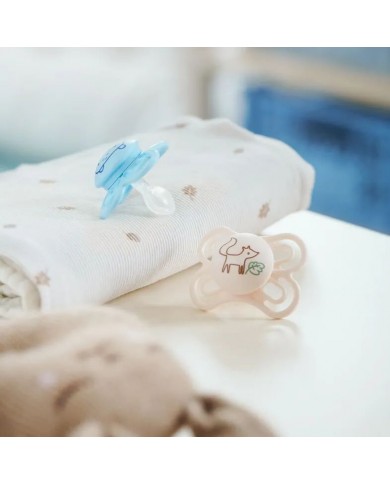 Sucettes Perfect - 0-6 mois - Blue/Neutral