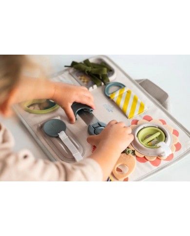 Tableau Snap'n Learn