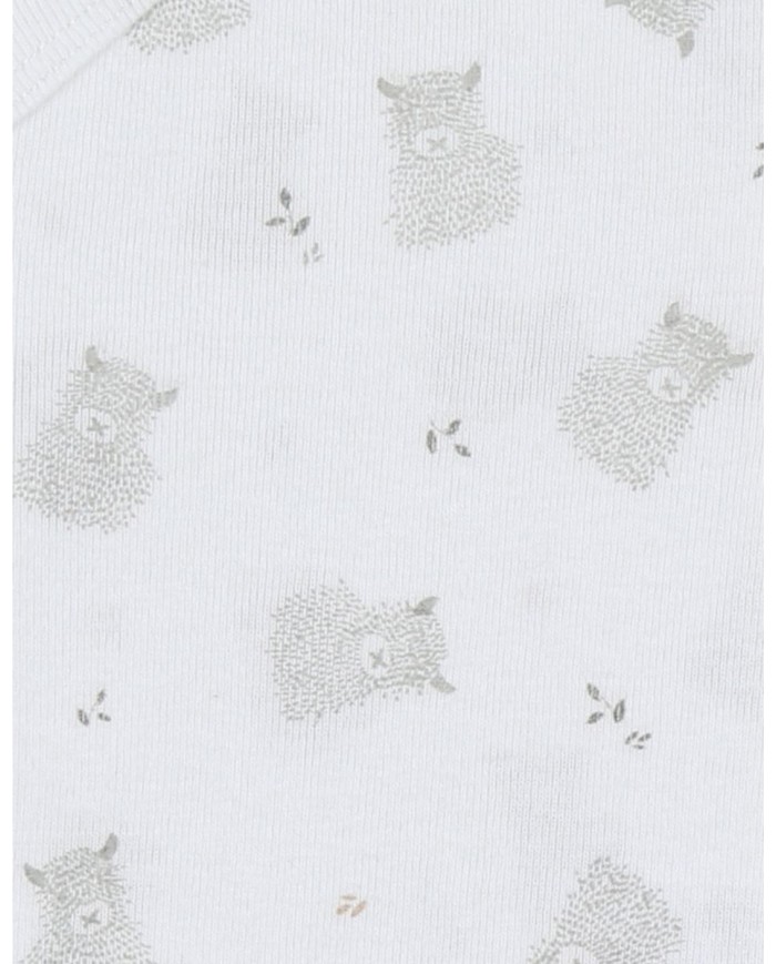 Lot de 2 bodies croisés - Fluffy, Orso & Lily Lot de 2 bodies croisés - Fluffy, Orso & Lily