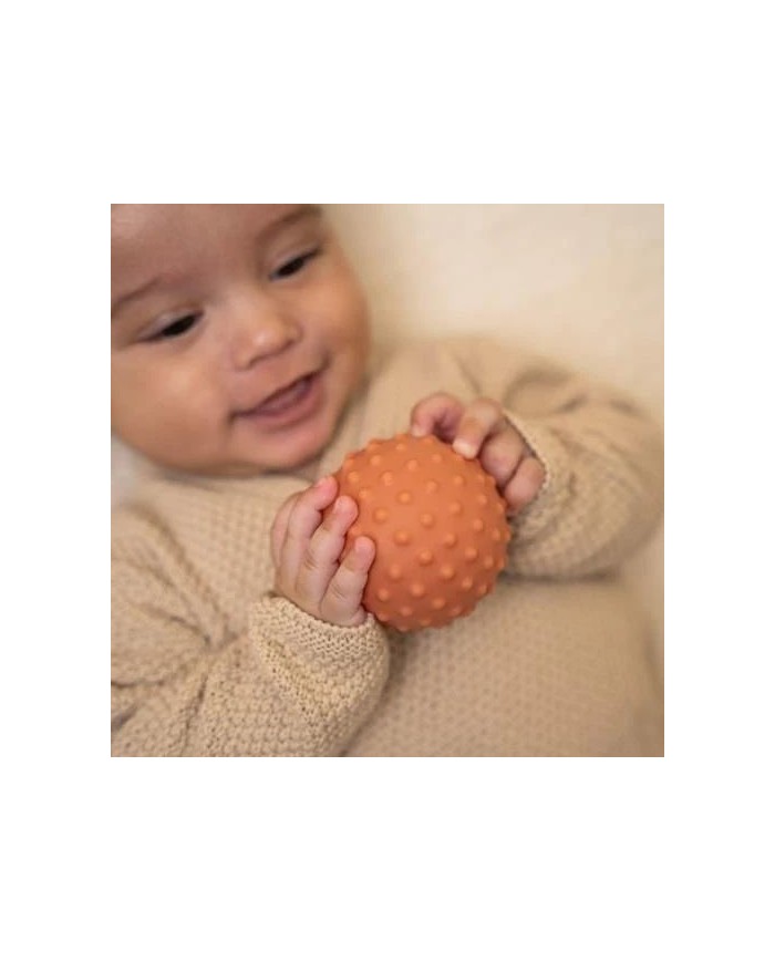 Lot de 3 balles sensorielles - Little farm