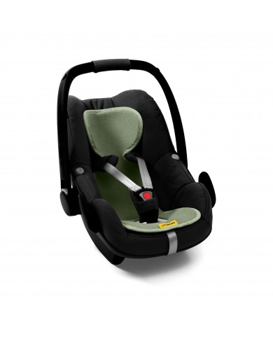Air Layer - Gr 0 - Moss Air Layer - Gr 0 - Moss