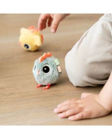 Jouet d'activité cache-cache - Clucky - sable