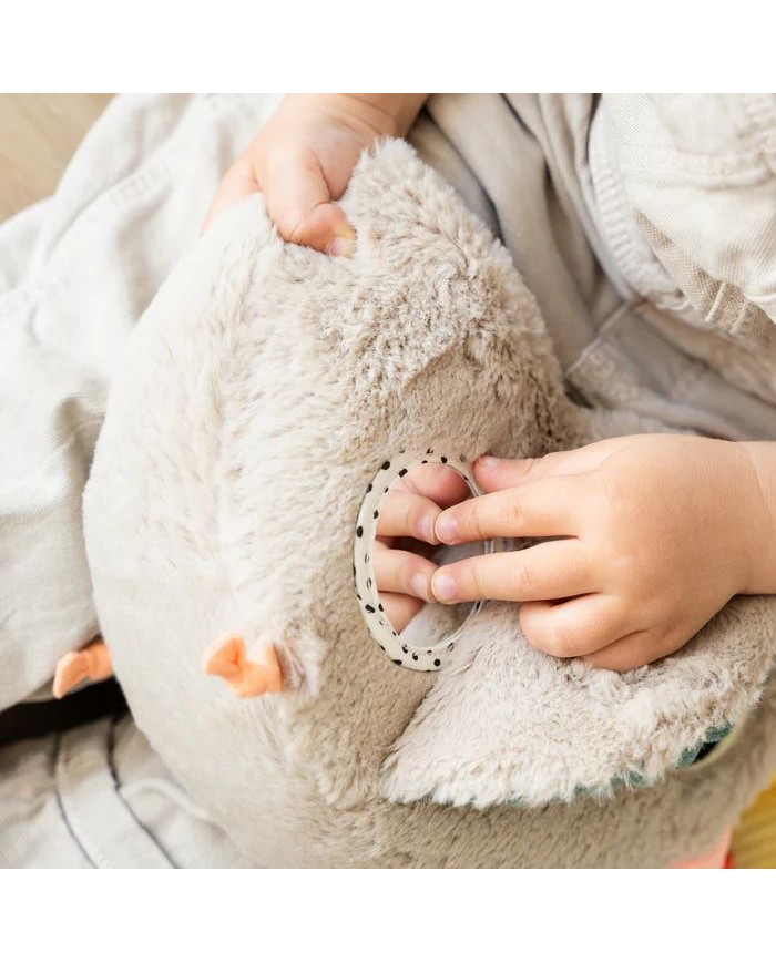 Jouet d'activité cache-cache - Clucky - sable