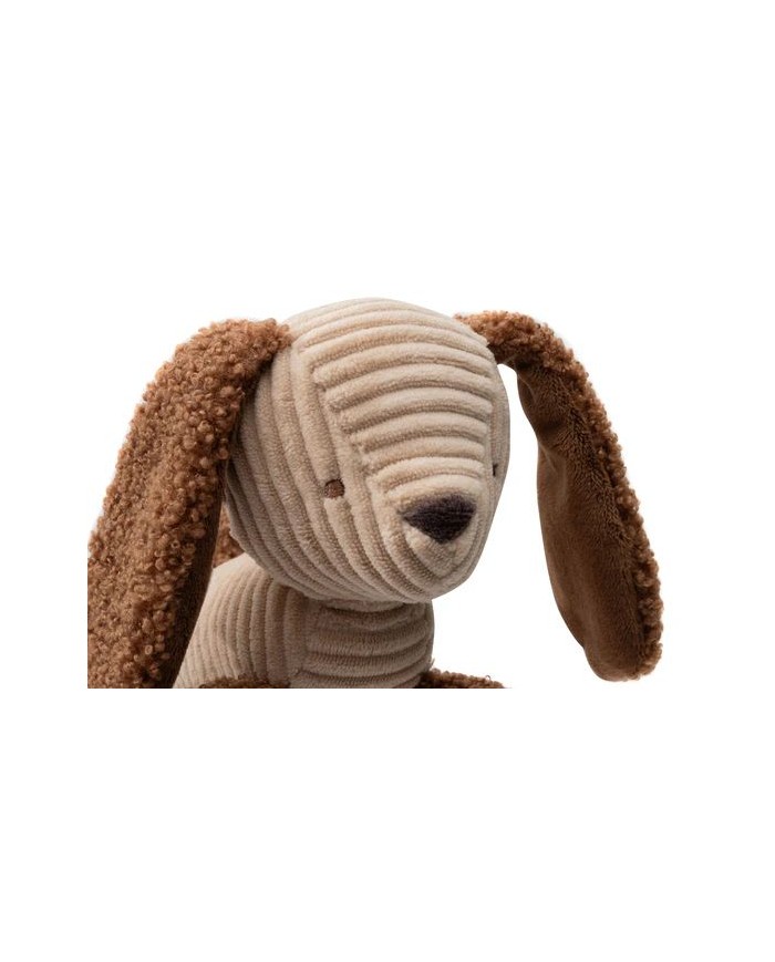 Jouet d'Activités - Diego