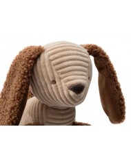 Jouet d'Activités - Diego