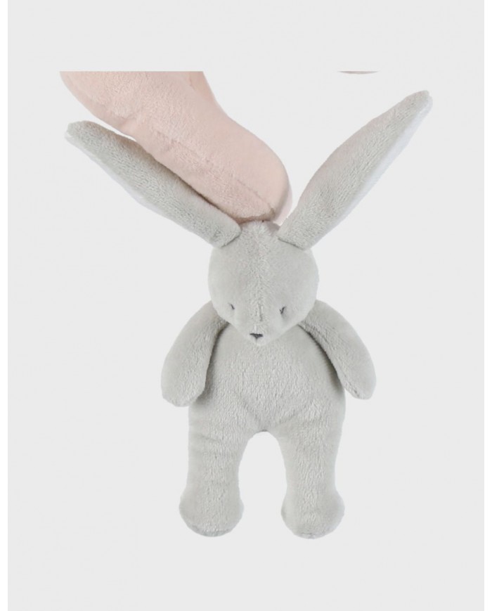 Spirale d'activités - Rosie