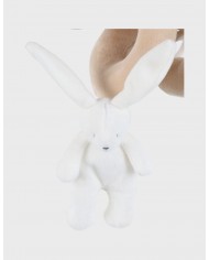 Spirale d'activités - Verdi