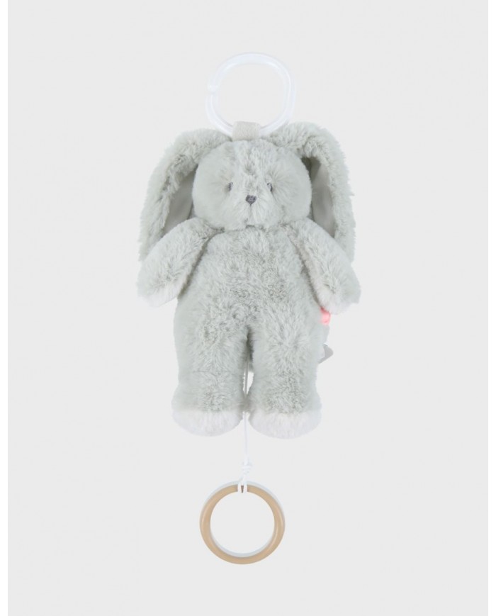 Peluche mini-musicale 20cm - Verdi