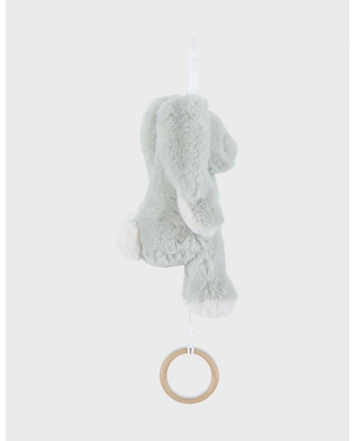 Peluche mini-musicale 20cm - Verdi