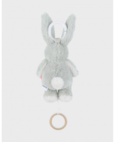 Peluche mini-musicale 20cm - Verdi