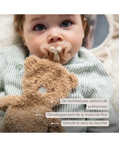 Attache sucette Ours - Teddy beige