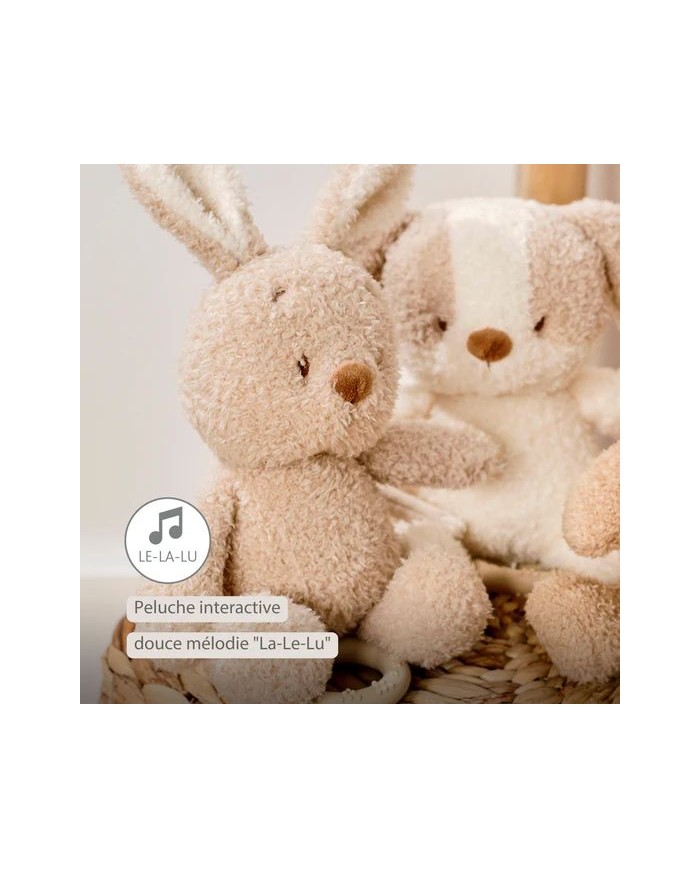 Peluche musicale 25 cm Lapin - Teddy beige