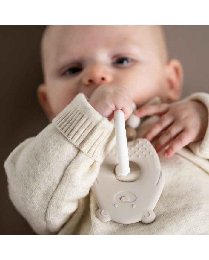 Anneau de Dentition Ours - Silicone Argile