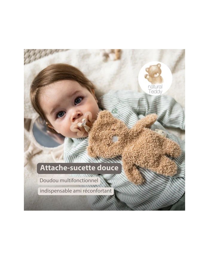 Attache sucette Ours - Teddy beige