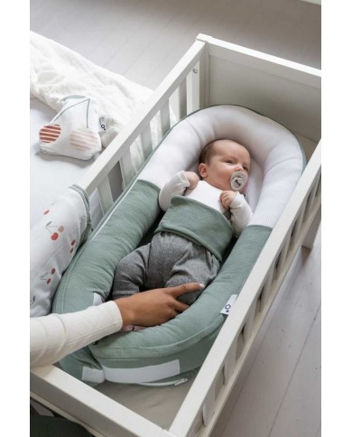 Cocoon Tetra Jersey Green