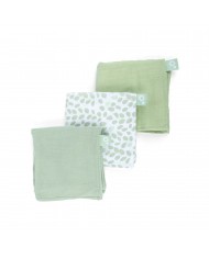 Lot de 3 tétras Lovely 70x70cm - Mini leaves green